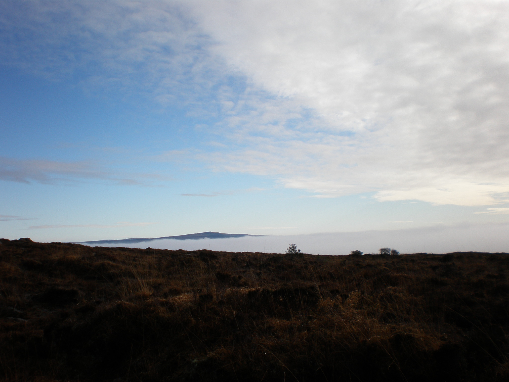 Union Wood