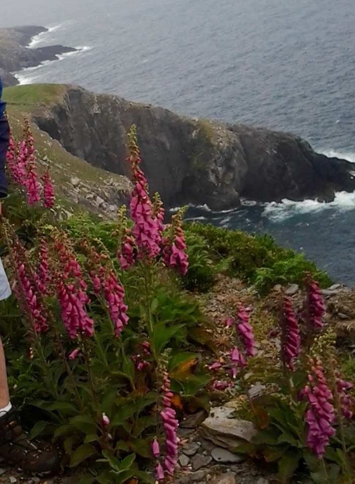 Beara Peninsula
