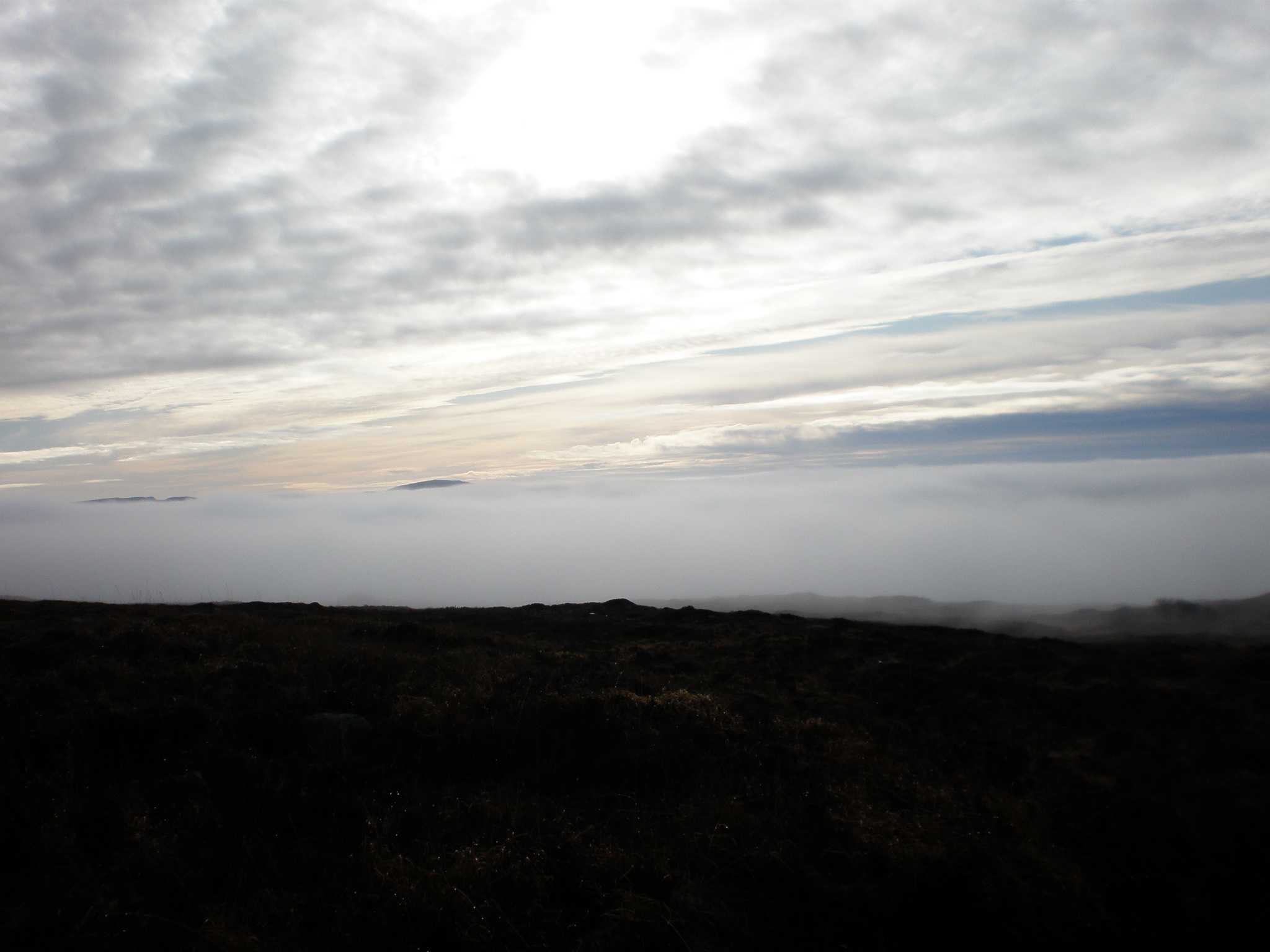Taken by Tom Browne