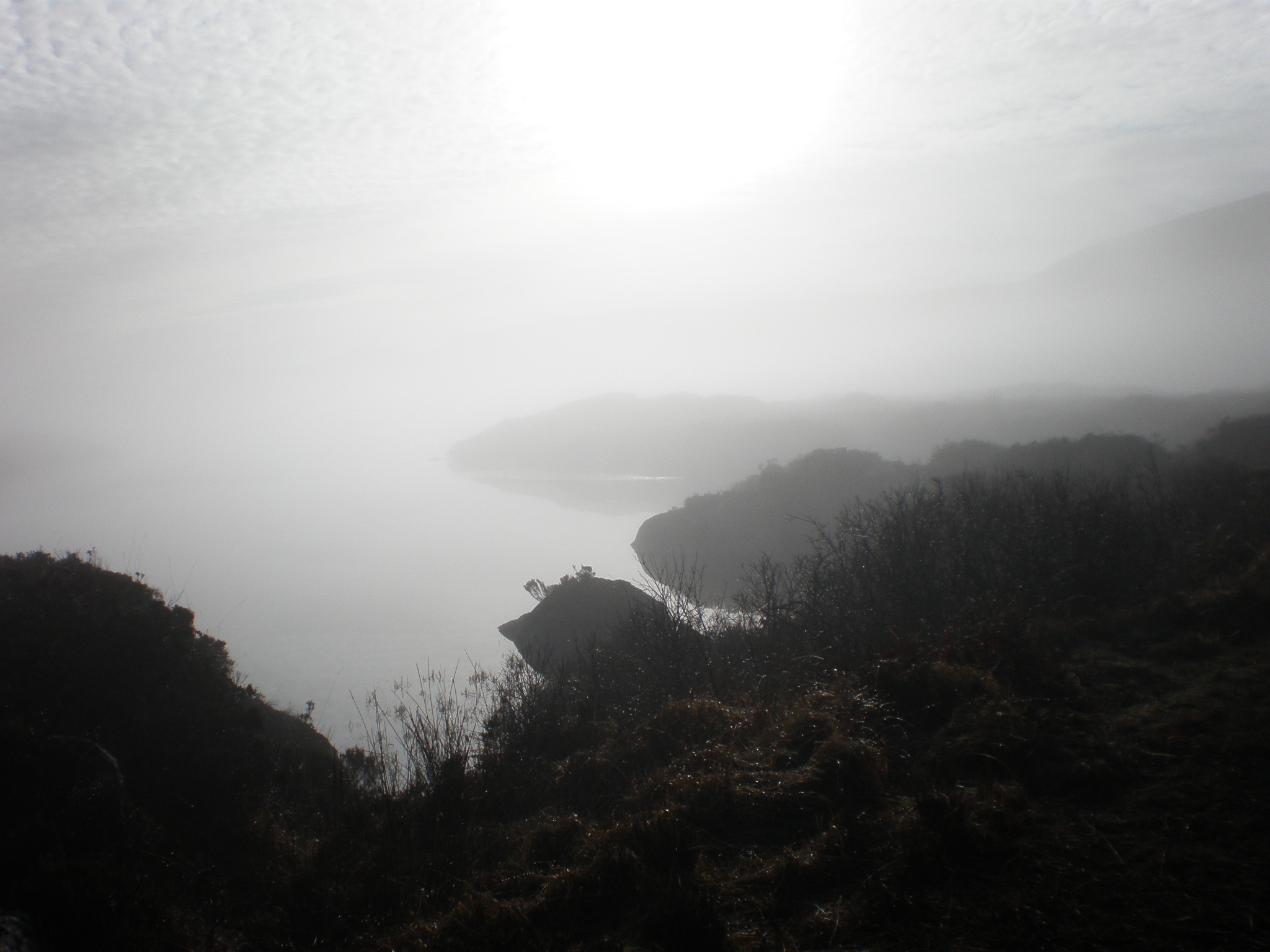Taken by Tom Browne